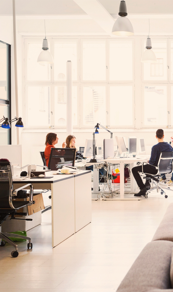 employees sitting at desks in office building